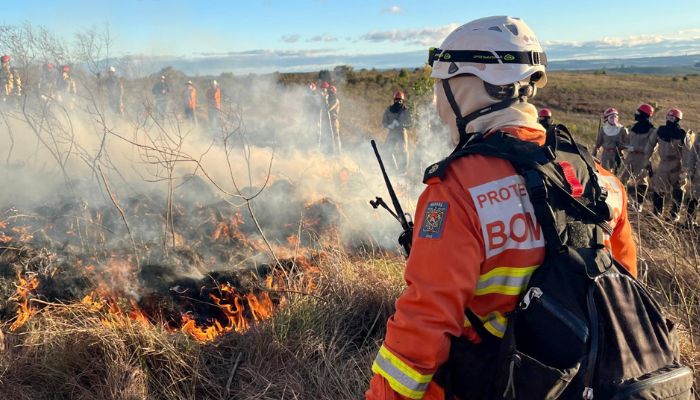 Foto: CBMPR CBMPR intensifica treinamentos de Manejo Integrado do Fogo contra incêndios florestais